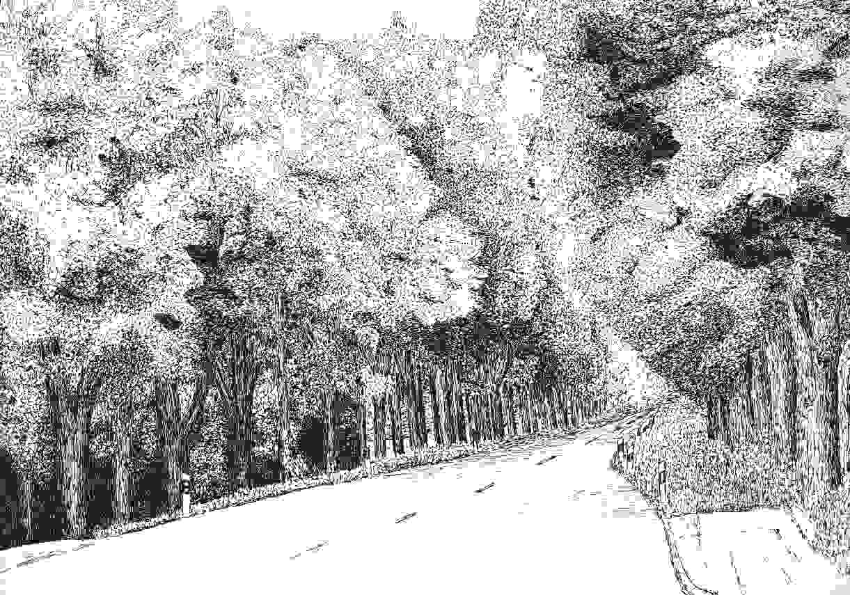 Harresh�user Allee