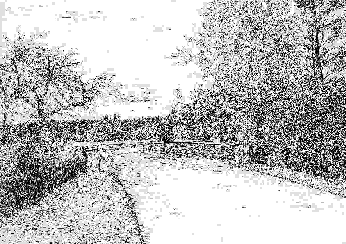 Die sch�ne Eiche in Harreshausen